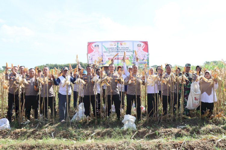 Polres Kediri Kota bersama Warga Tani Panen Raya Jagung, Wujud Nyata Dukung Swasembada Pangan