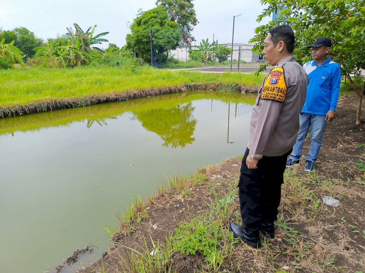 Polsek Tanggulangin Sambangi Pertanian Terong Desa Kalidawir, Dukung Ketahanan Pangan Polresta Sidoarjo