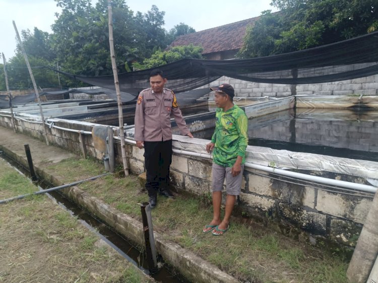 Dukung Swasembada Pangan, Dampingi Budidaya Lele di Desa Waung