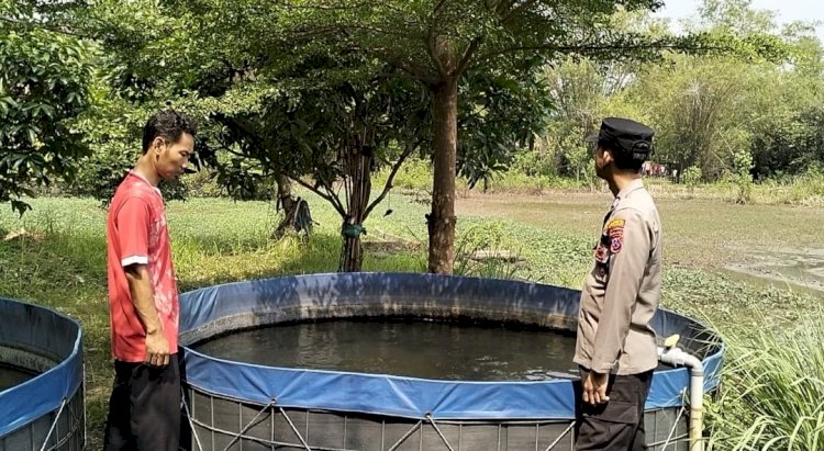 Pengecekan Budidaya Ikan Lele, Bukti Keberhasilan Program Ketahanan Pangan P2B