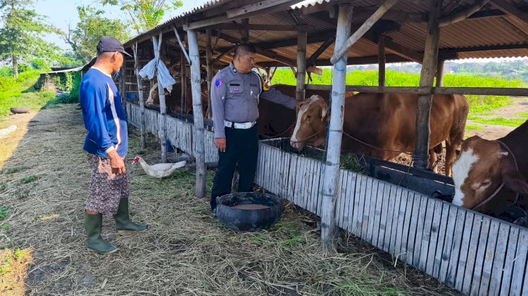 Polisi Tinjau Lahan Ketahanan Pangan di Desa Boro, Dukung Program P2B Tanggulangin