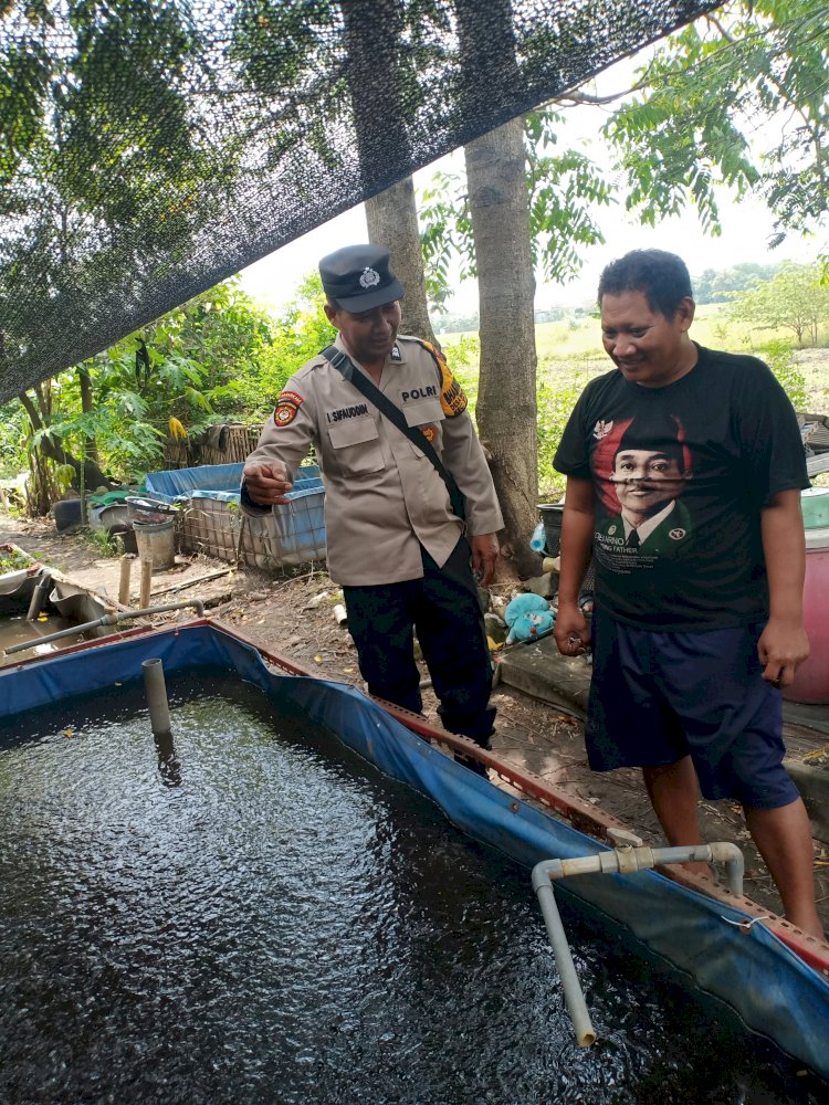 Pemanfaatan Lahan Kosong Jadi Kolam Lele, Dukungan Polresta Sidoarjo untuk Swasembada Pangan